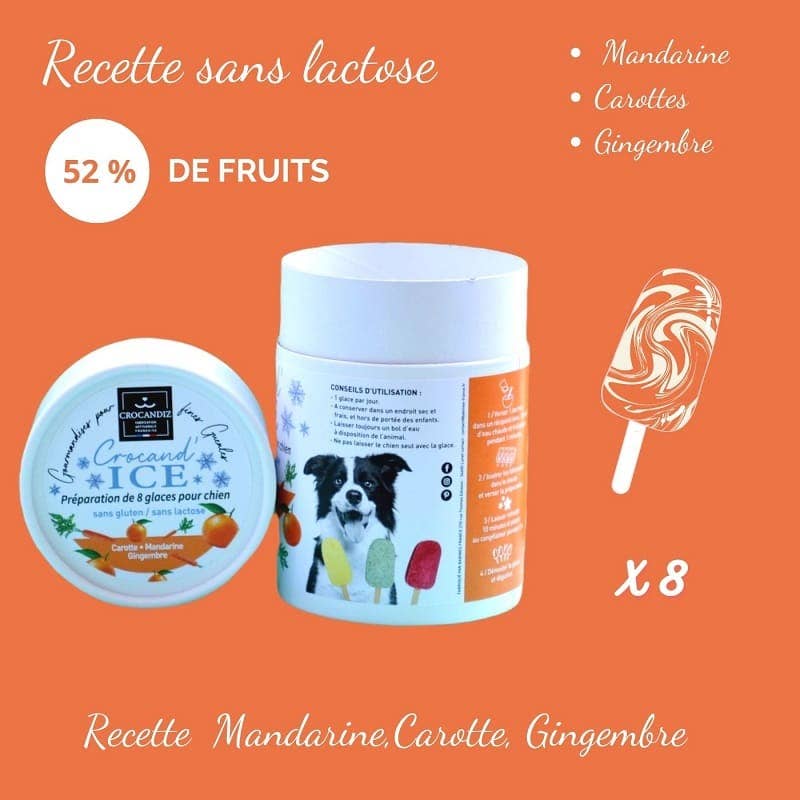 Glace pour chien carotte et mandarine