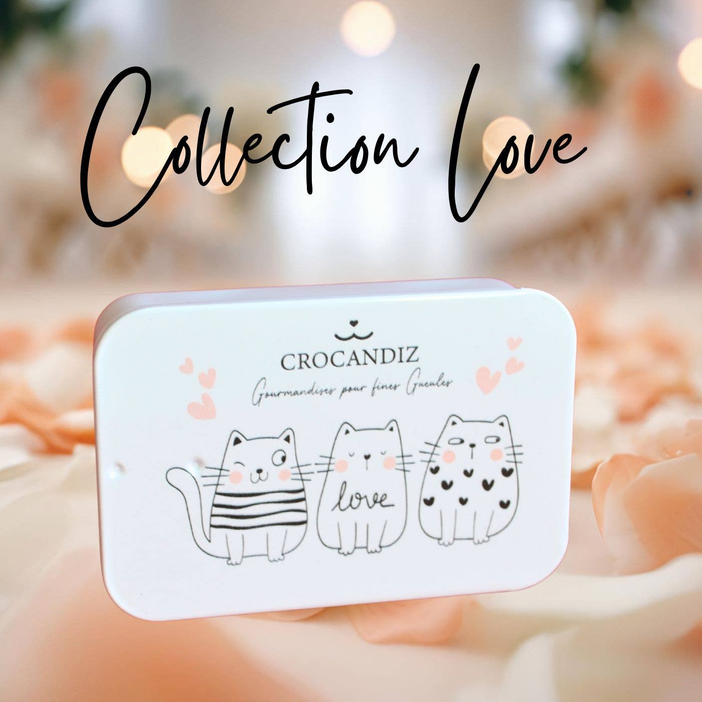 Boîte de friandises Chat – Collection Love ❤️🐱
