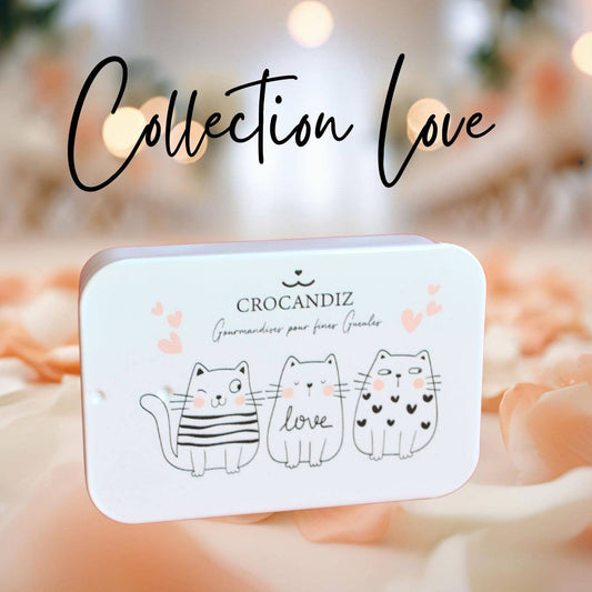 Boîte de friandises Chat – Collection Love ❤️🐱