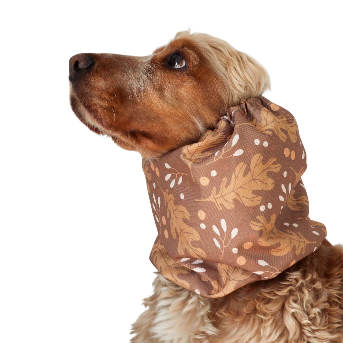 🐾 Snood Imperméable Double Épaisseur - Chêne d'automne