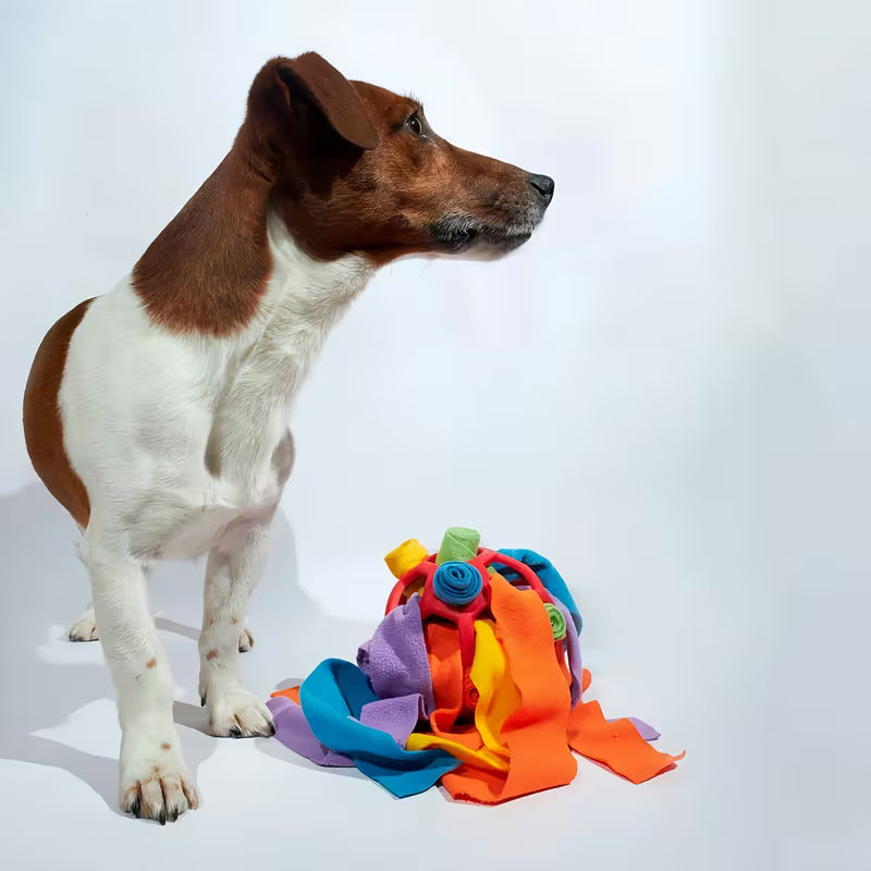 Balle de fouille interactive pour chien – jouet d’occupation