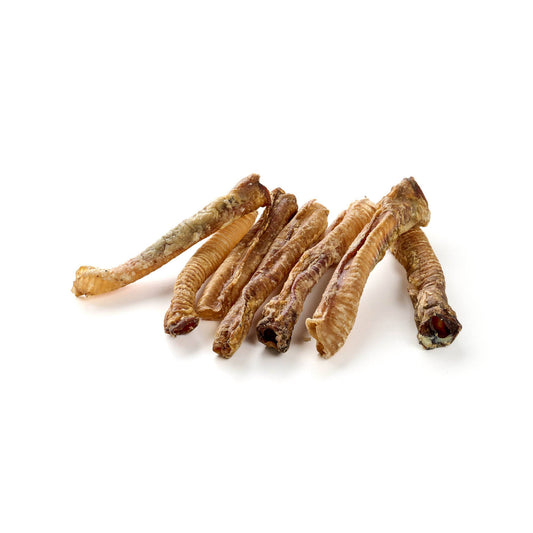 Trachées d'agneau - mastication gourmande pour chien