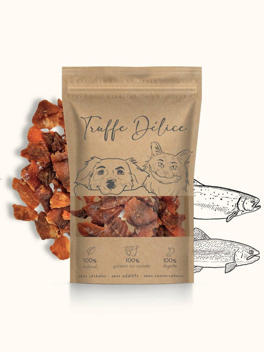 🐟 Friandises de saumon – Friandises pour Chiens & Chats 🐾