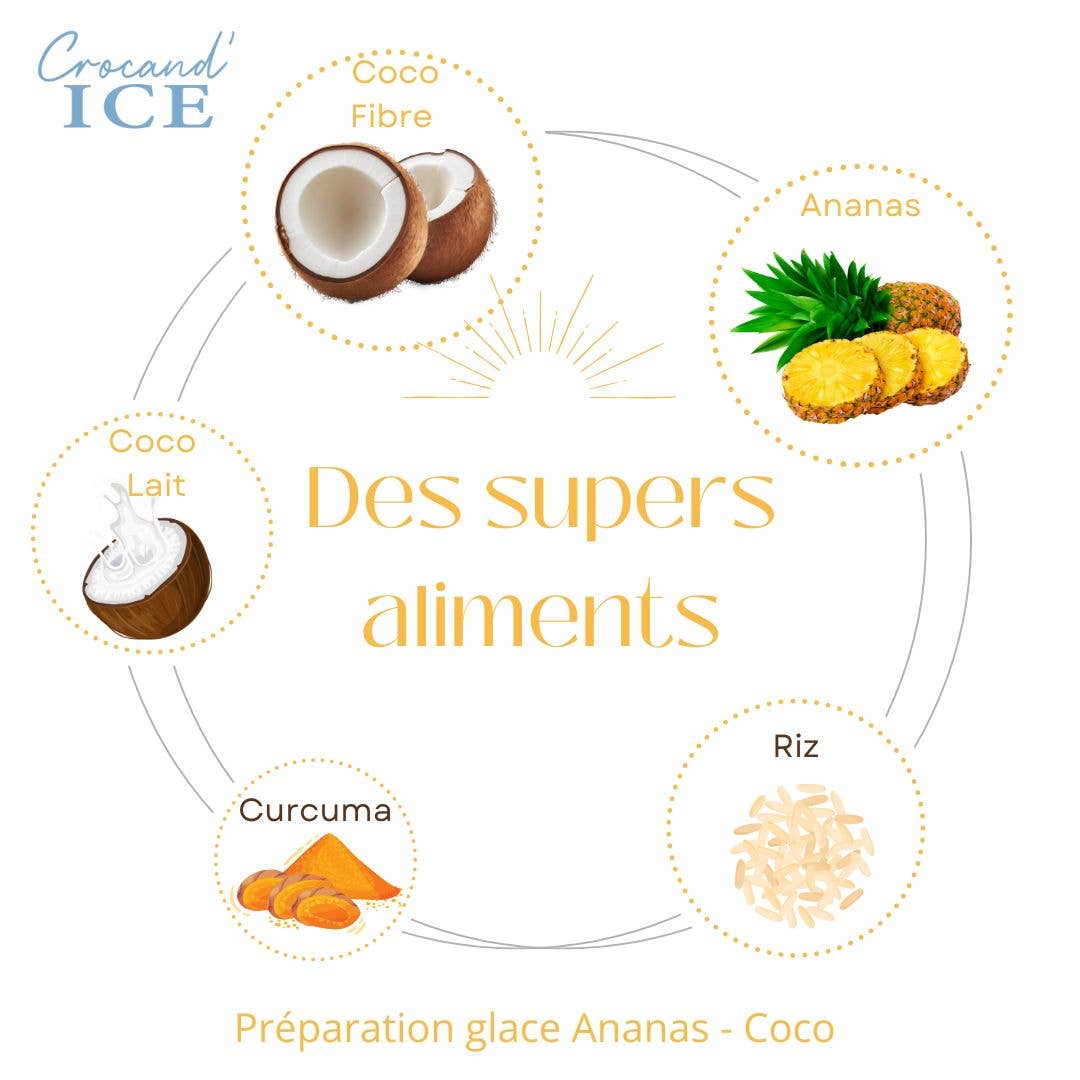 Glace pour chien ananas-coco
