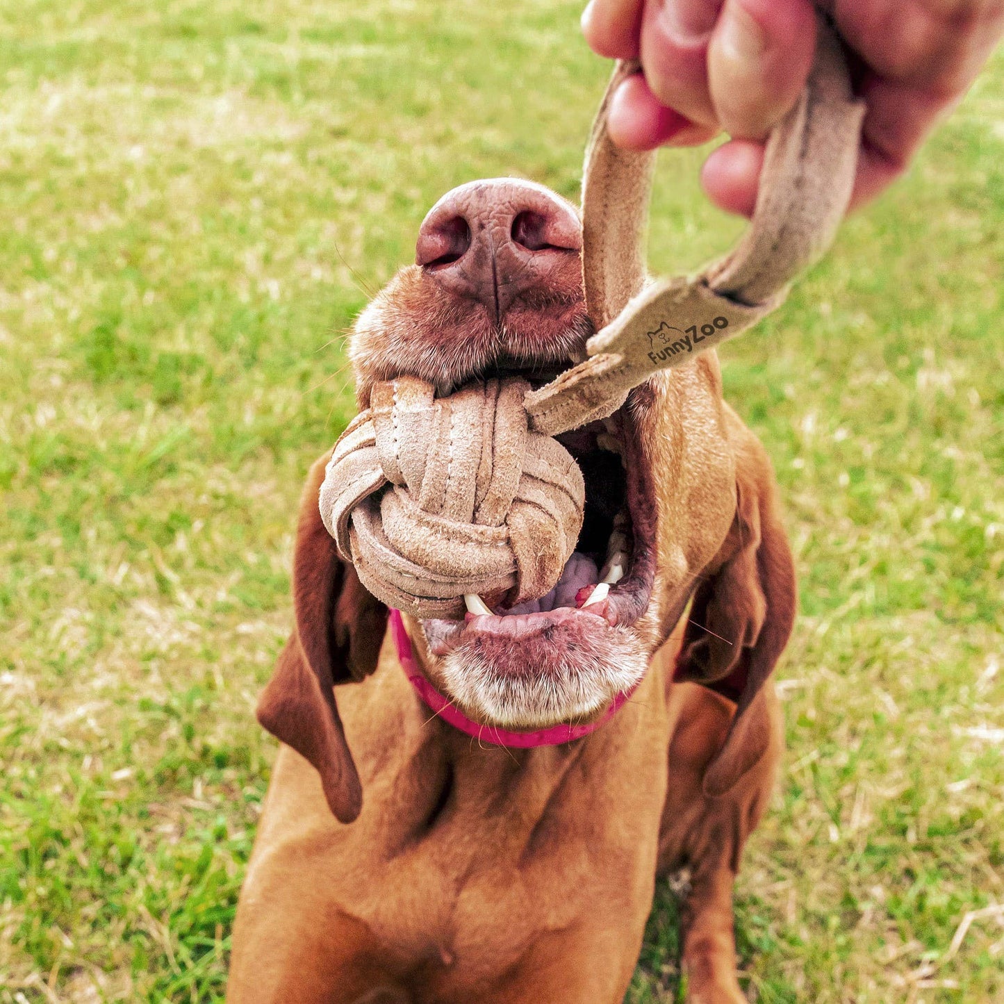 Balle en suède avec poignée – Jouet naturel pour chien