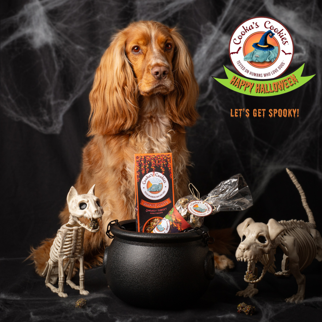 Beignets aux vampires - Friandises d'Halloween pour chiens