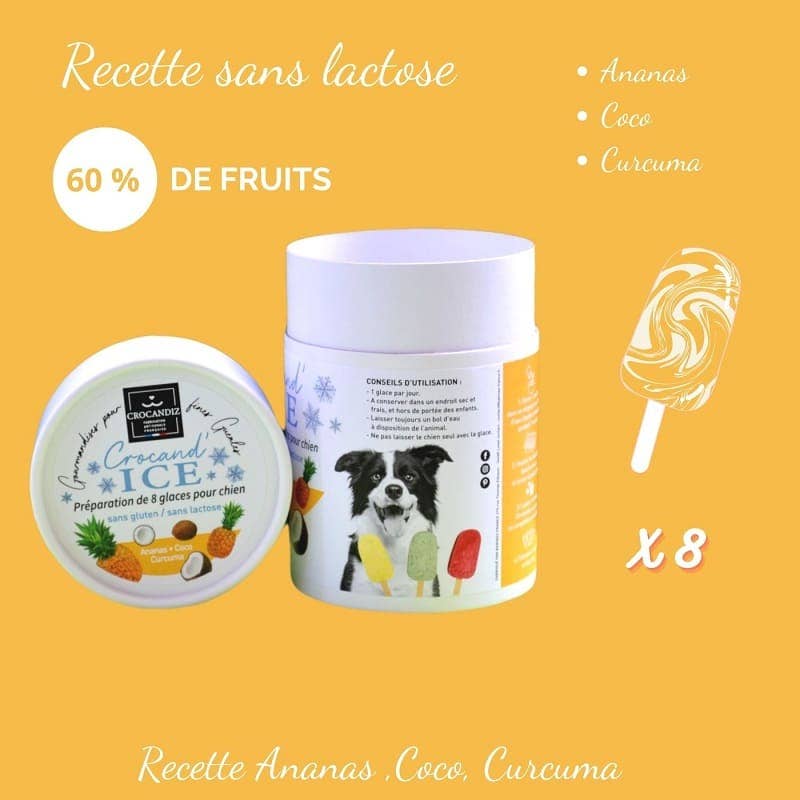 Glace pour chien ananas-coco