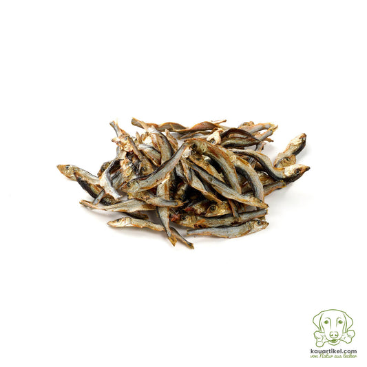 Sprats de la mer Baltique - Friandises pour chat et chien