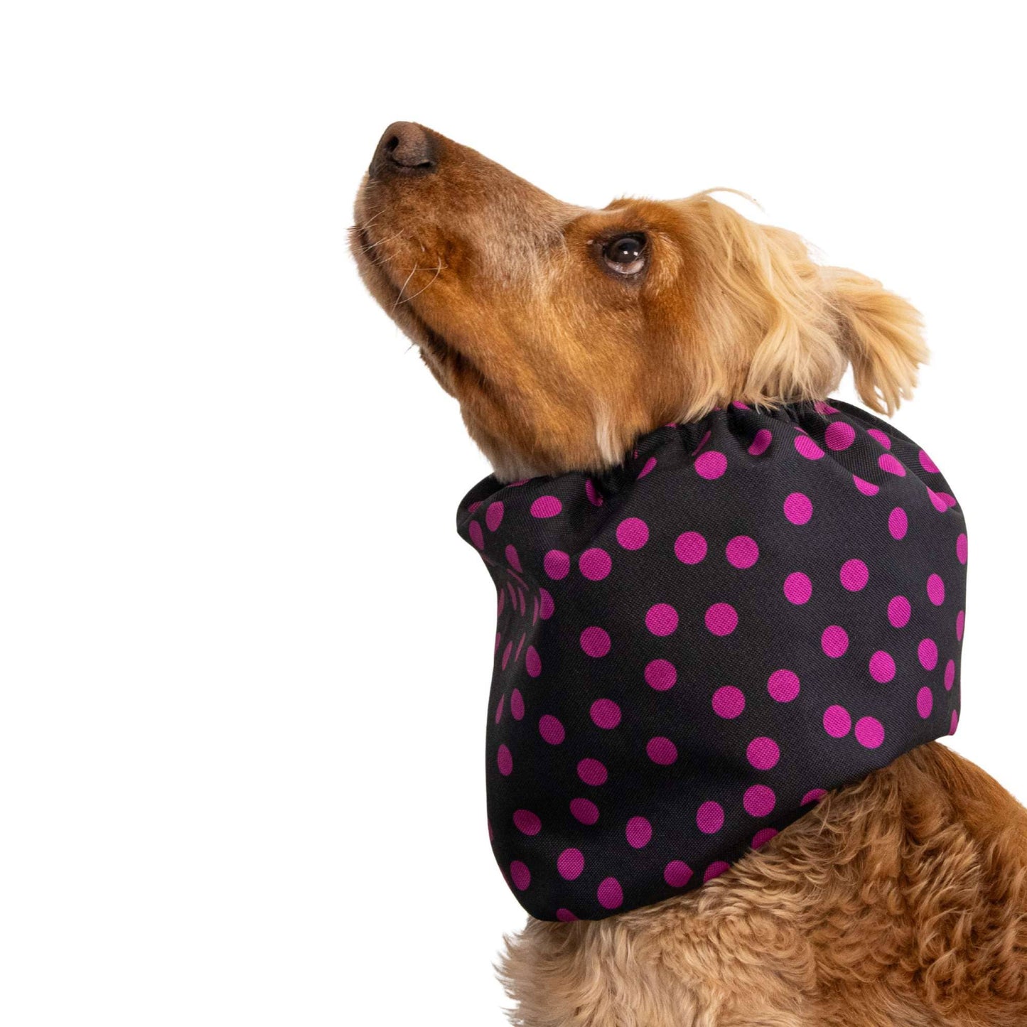 🐾 Snood Imperméable Double Épaisseur - Pois roses
