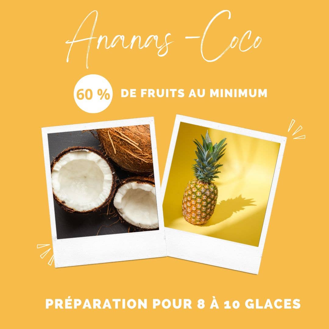 Glace pour chien ananas-coco