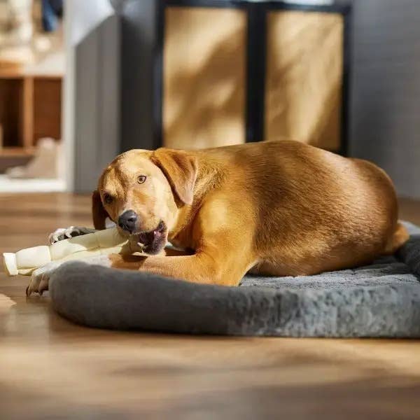 🐂 Joue de bœuf roulée naturelle en vrac – Friandise à mâcher pour chien