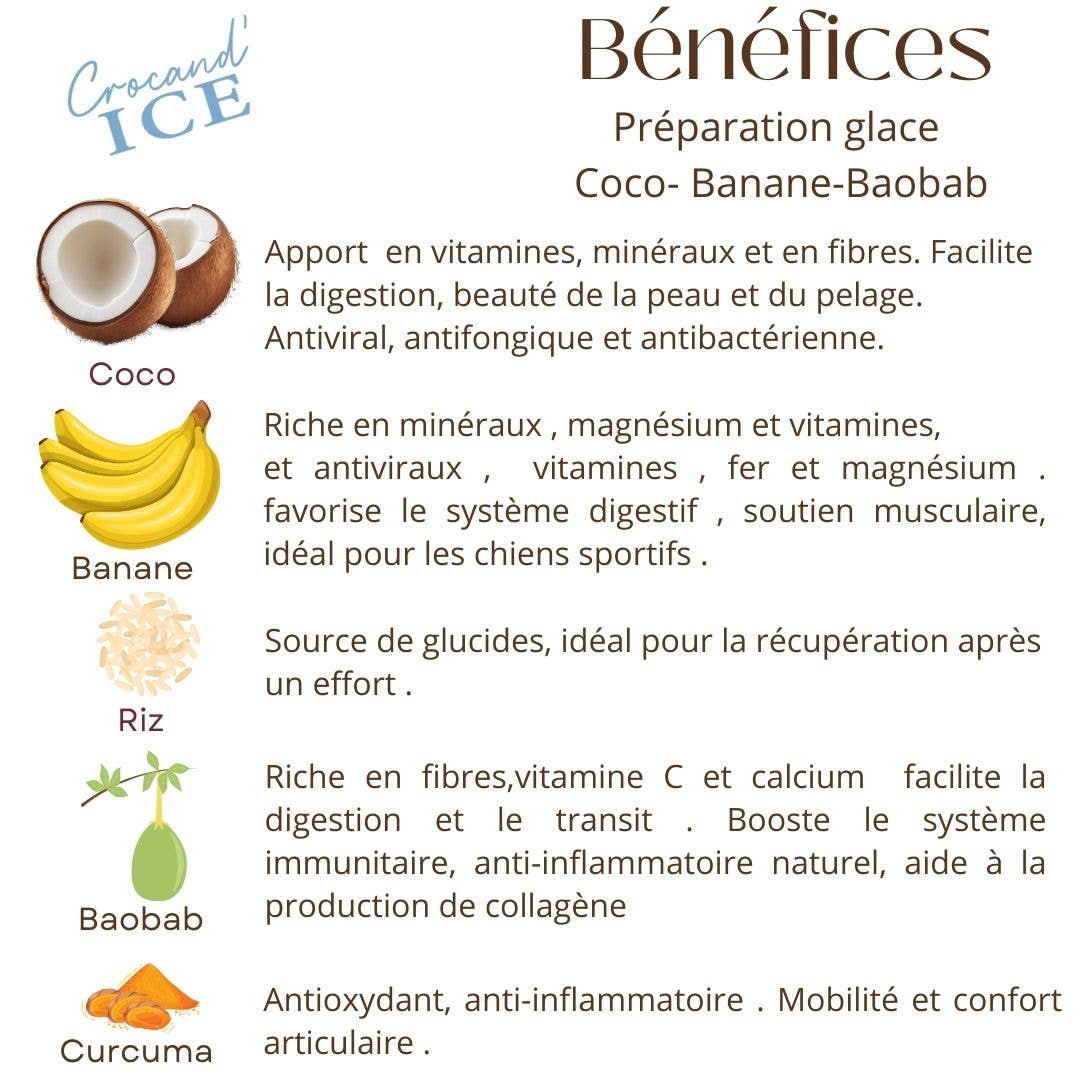 Glace pour chien  Coco, Banane