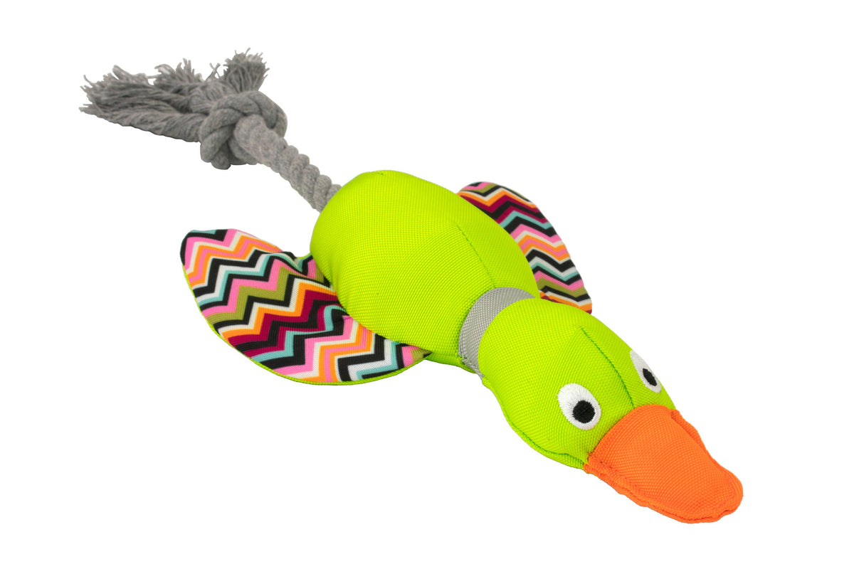 Canard Harry avec corde dentaire 30 cm