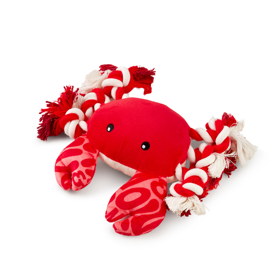 Huggles Crabe – Jouet interactif pour chien
