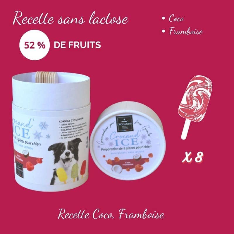 Glace pour chien  Coco et Framboise