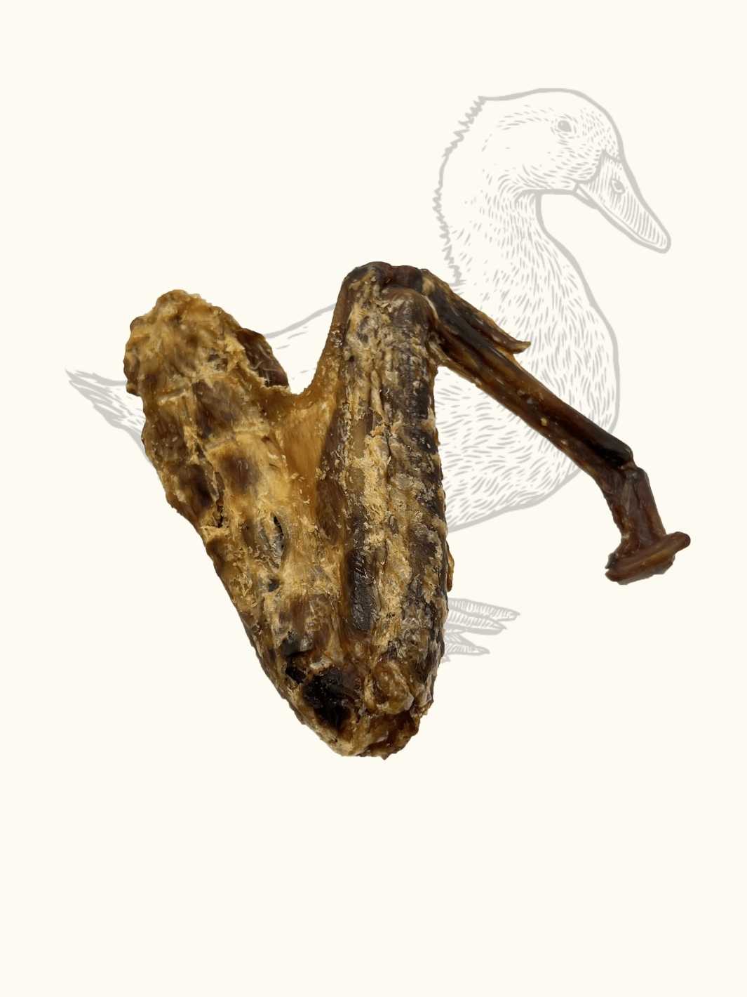 🦆 Wings de canard – Friandises 100 % naturelles pour chien