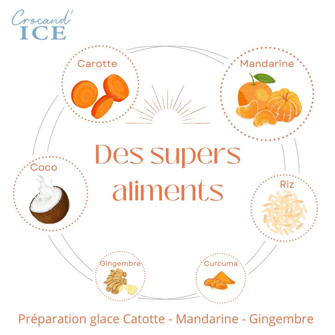 Glace pour chien carotte et mandarine