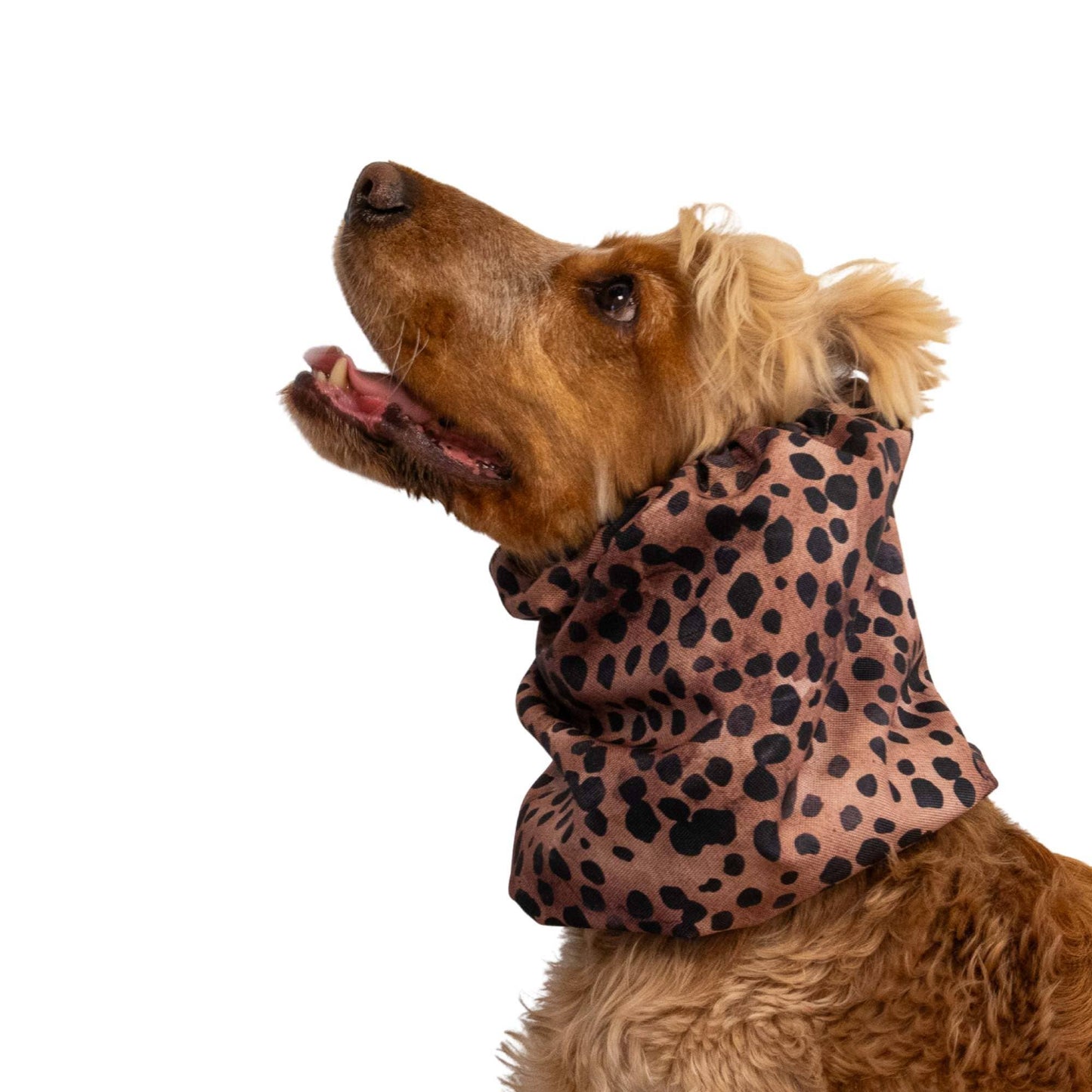 🐾 Snood Imperméable Double Épaisseur - Léopard