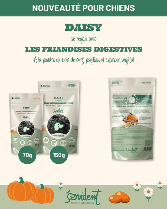 DAISY - Les friandises digestives pour CHIEN