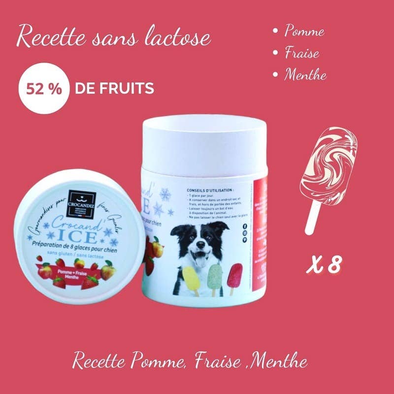 Glace pour chien Pomme  et Fraise