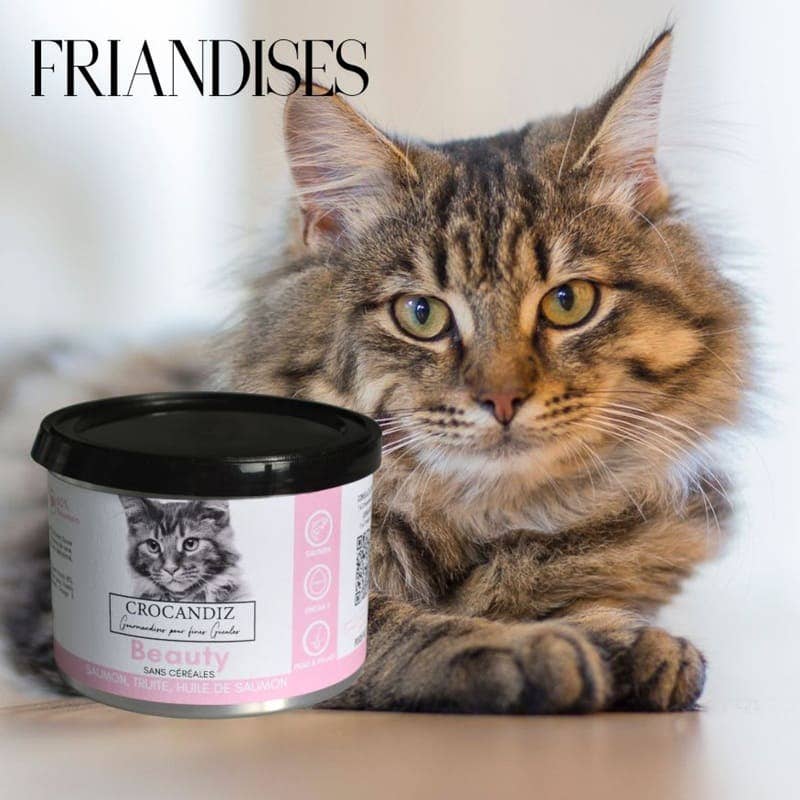 Friandises Beauty Peau & Pelage – Saumon pour chat