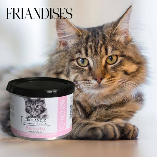 Friandises Beauty Peau & Pelage – Saumon pour chat