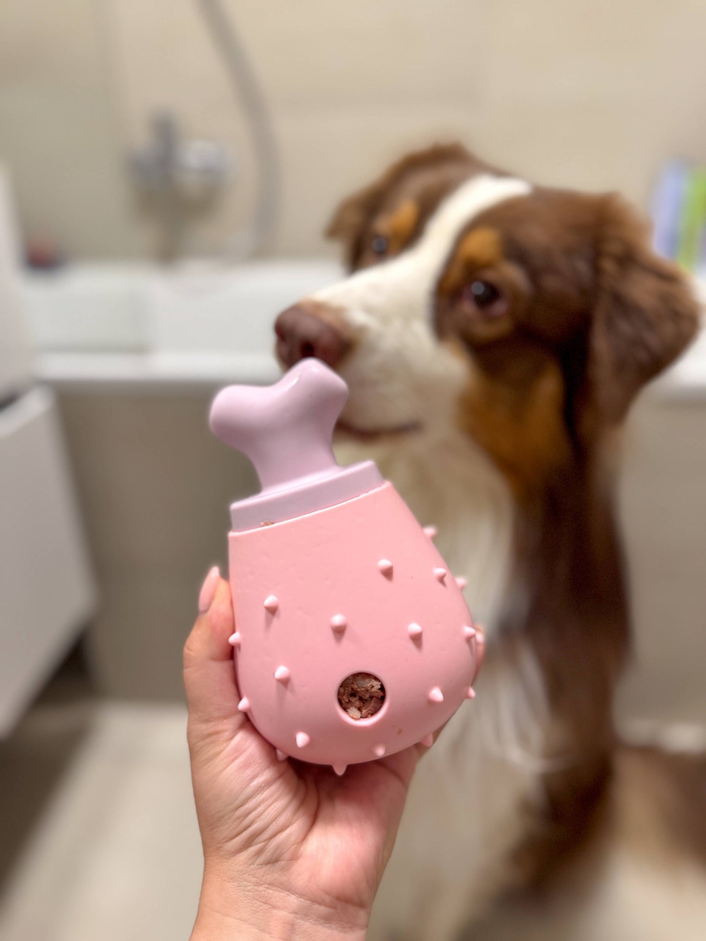 🍄🦴 Jouets d'occupation – Champignon & Os