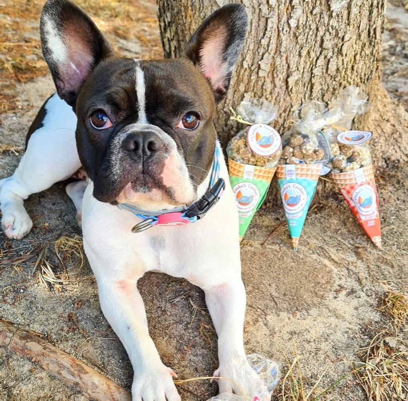 Beijinhos Turkey - Friandises croquantes et naturelles pour chiens à la dinde