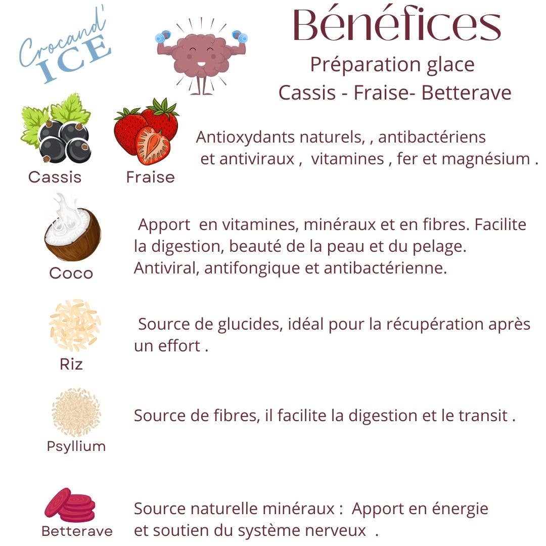 Glace pour chien  Cassis et Fraise