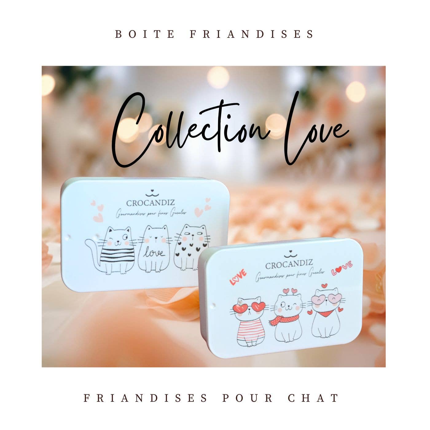 Boîte de friandises Chat – Collection Love ❤️🐱