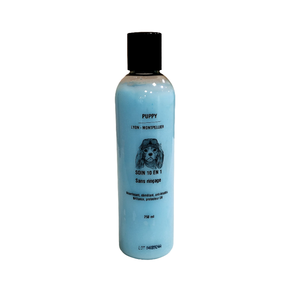 Soin 10 en 1 sans rinçage 250ml