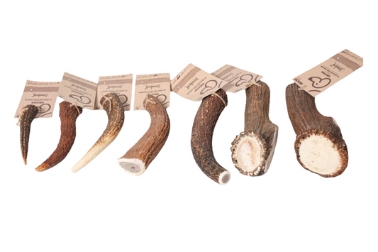 Bois de Cerf entier