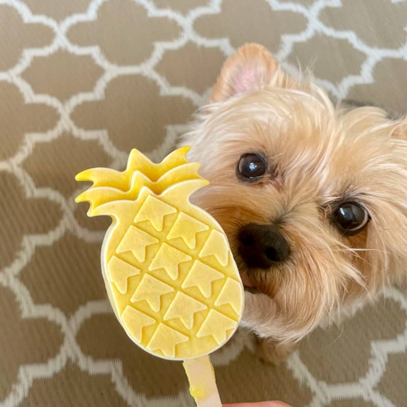 Glace pour chien ananas-coco
