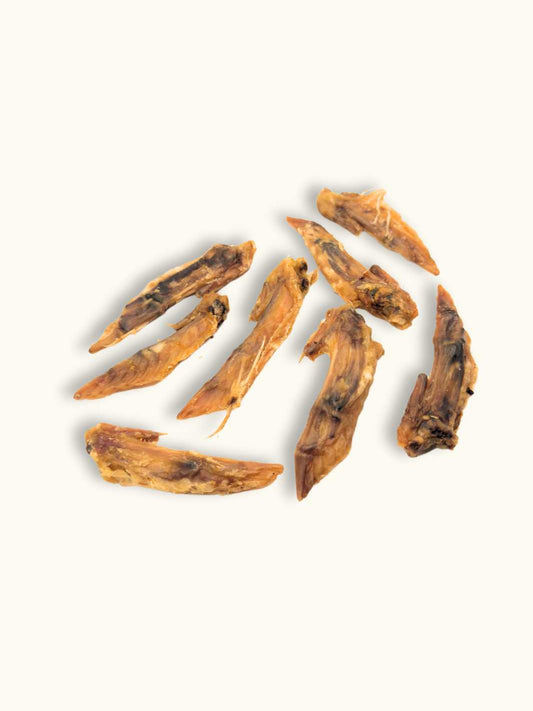 Ailes de poulet – Friandises 100 % naturelles pour chien & chat