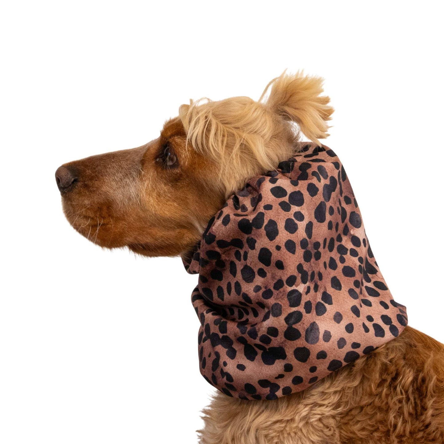 🐾 Snood Imperméable Double Épaisseur - Léopard