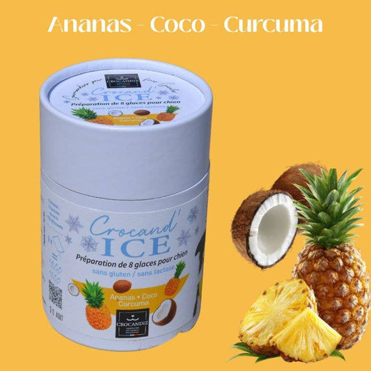 Glace pour chien ananas-coco