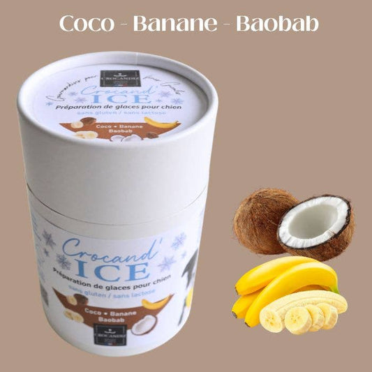 Glace pour chien  Coco, Banane