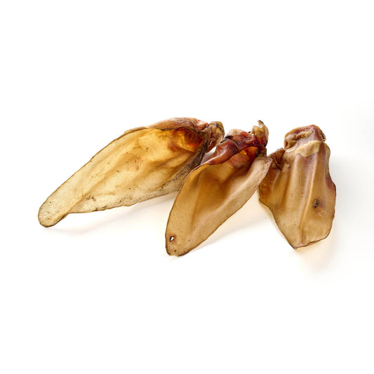 Oreille de bœuf, lot de 5 pièces - Mastication longue pour chien