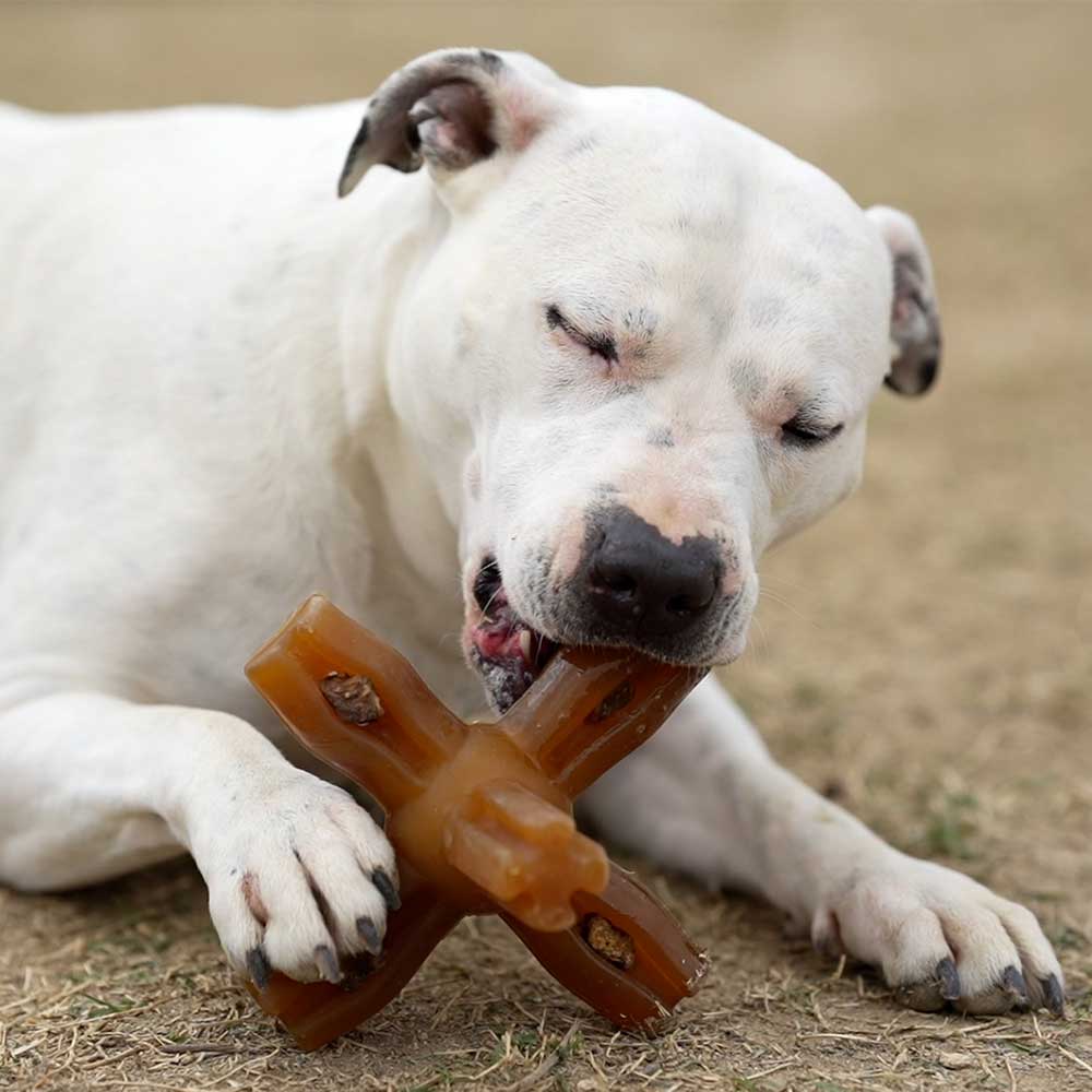 STAR – Jouet d'occupation en caoutchouc naturel pour chien