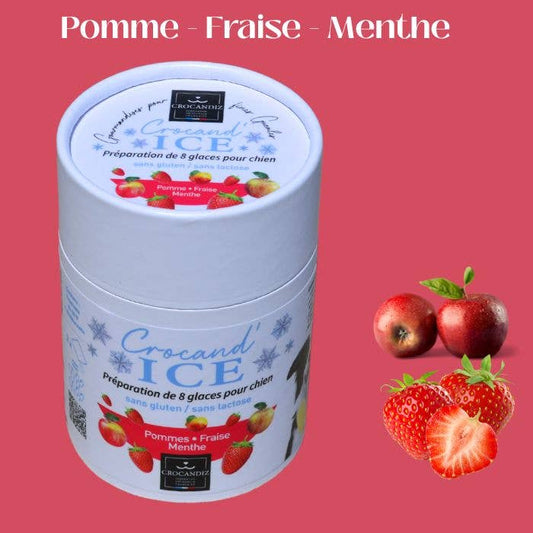 Glace pour chien Pomme  et Fraise
