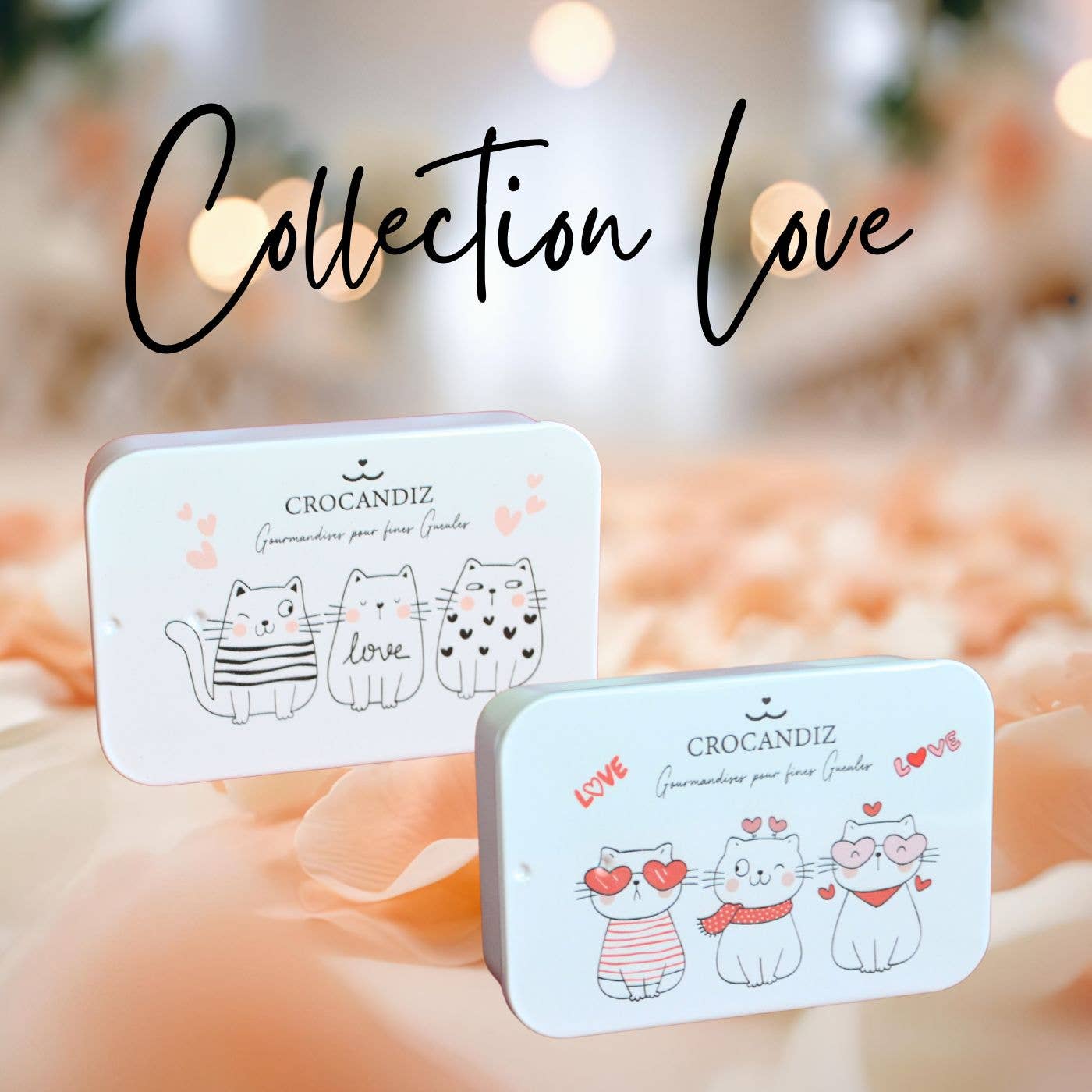 Boîte de friandises Chat Rouge & Blanc – Collection Love ❤️🐱