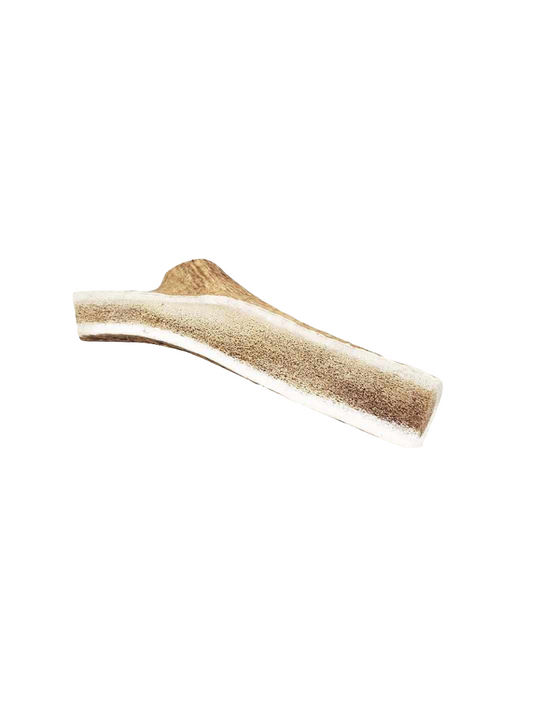 Bois de cerf tranché pour chien