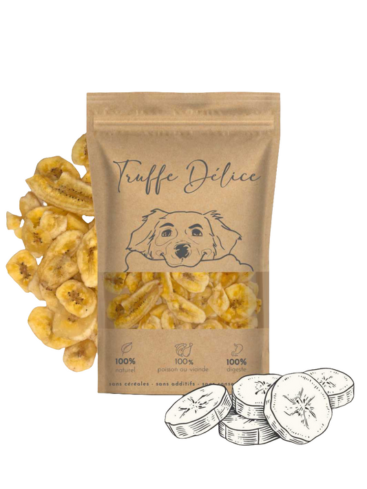 Friandises à la banane pour chien