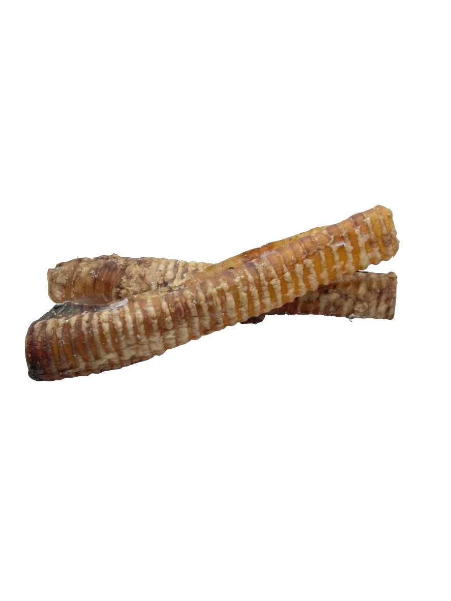 Trachées de boeuf
