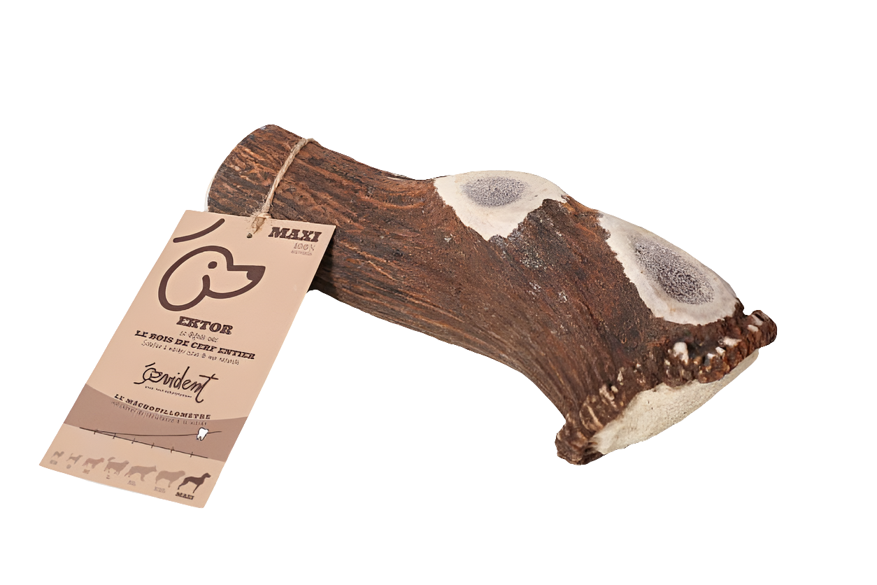 Bois de Cerf entier