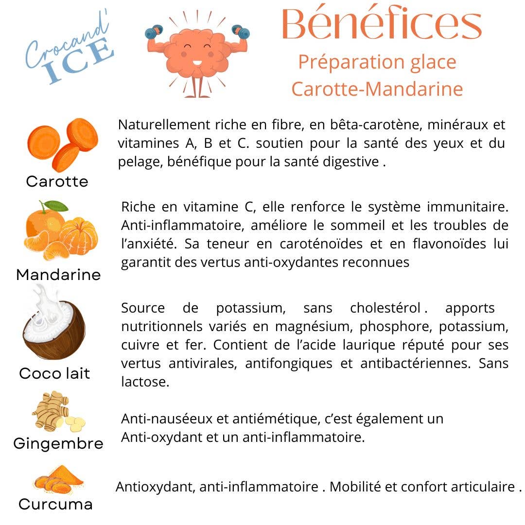 Glace pour chien carotte et mandarine