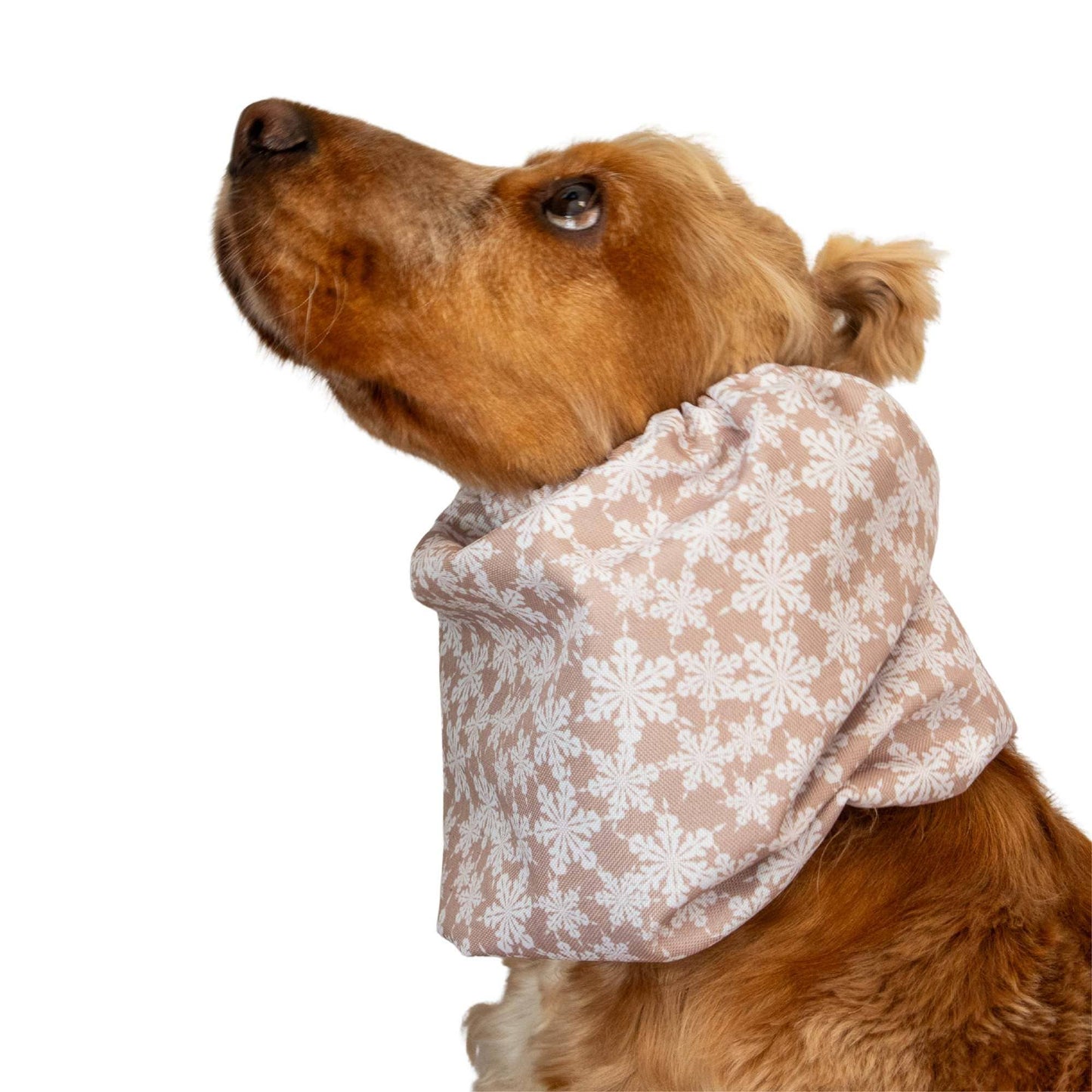 🐾 Snood Imperméable Double Épaisseur - Flocons