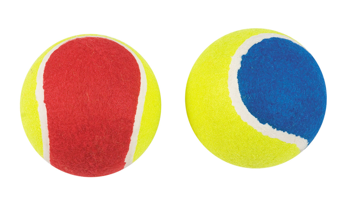 Balles de tennis pour chien