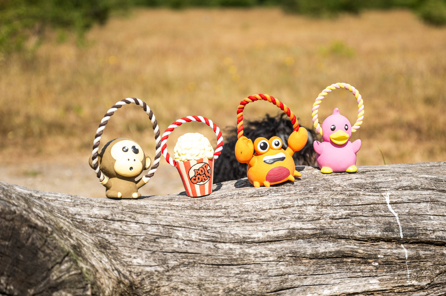 Jouet pour chien Tuggles - Lenny Krabitz