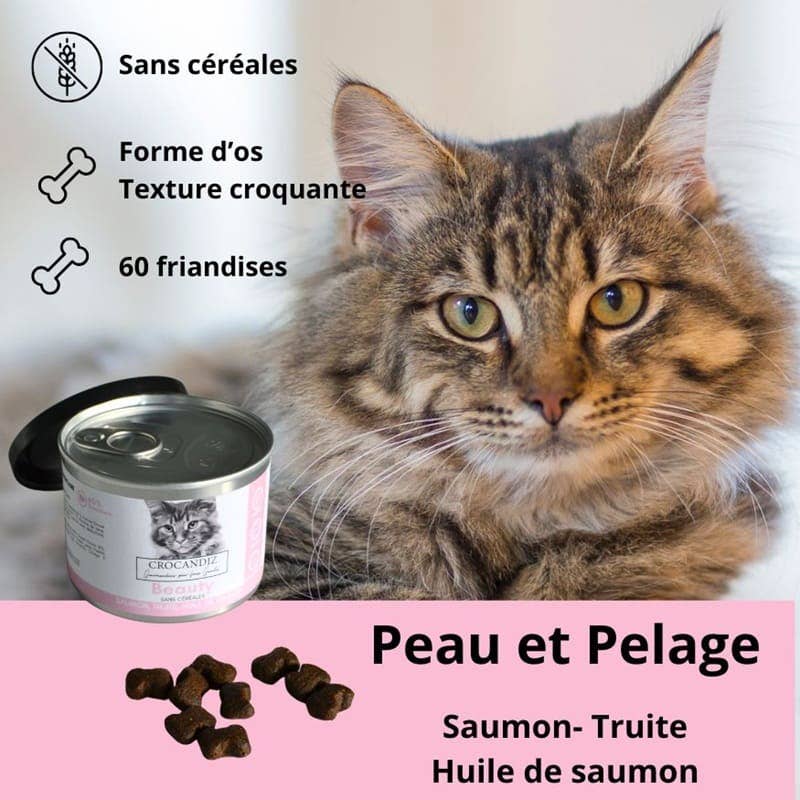 Friandises Beauty Peau & Pelage – Saumon pour chat